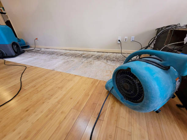 Professional Water Damage Repair technician working in Murrieta, CA